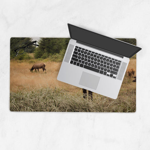 Deskmat-14x24-20250518202231282