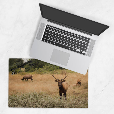 Deskmat-10x16-20250518202547748