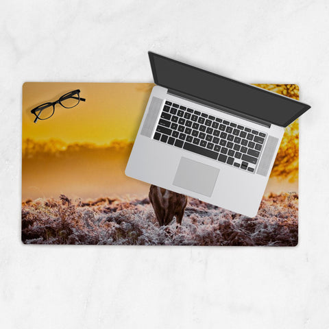 Deskmat-14x24-2020091609112581