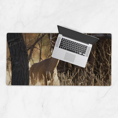 Deskmat-18x36-20250530012624396