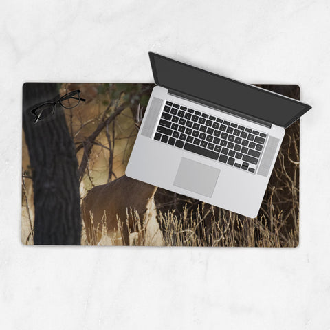 Deskmat-14x24-20250530012624372