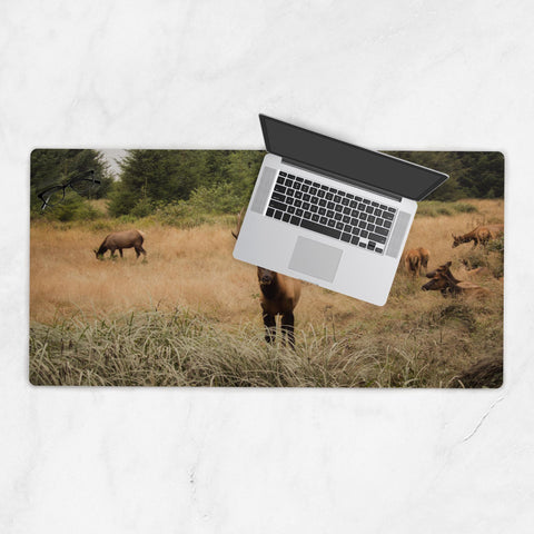 Deskmat-18x36-20250518202231282