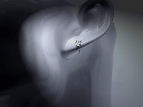 American Sportsman Jewelry Earrings Deer Print Hunting Earrings-Small