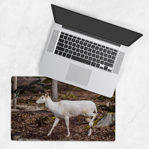 Deskmat-10x16