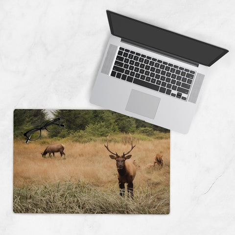Deskmat-12x18-20250518202547748