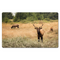 Fall Hunt Desk Mats, Mouse Pads