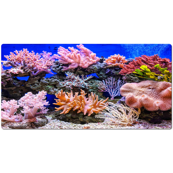 Coral Reef Desk Pad | Ocean themed Mouse Pad