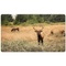 Fall Hunt Desk Mats, Mouse Pads