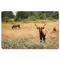 Fall Hunt Desk Mats, Mouse Pads